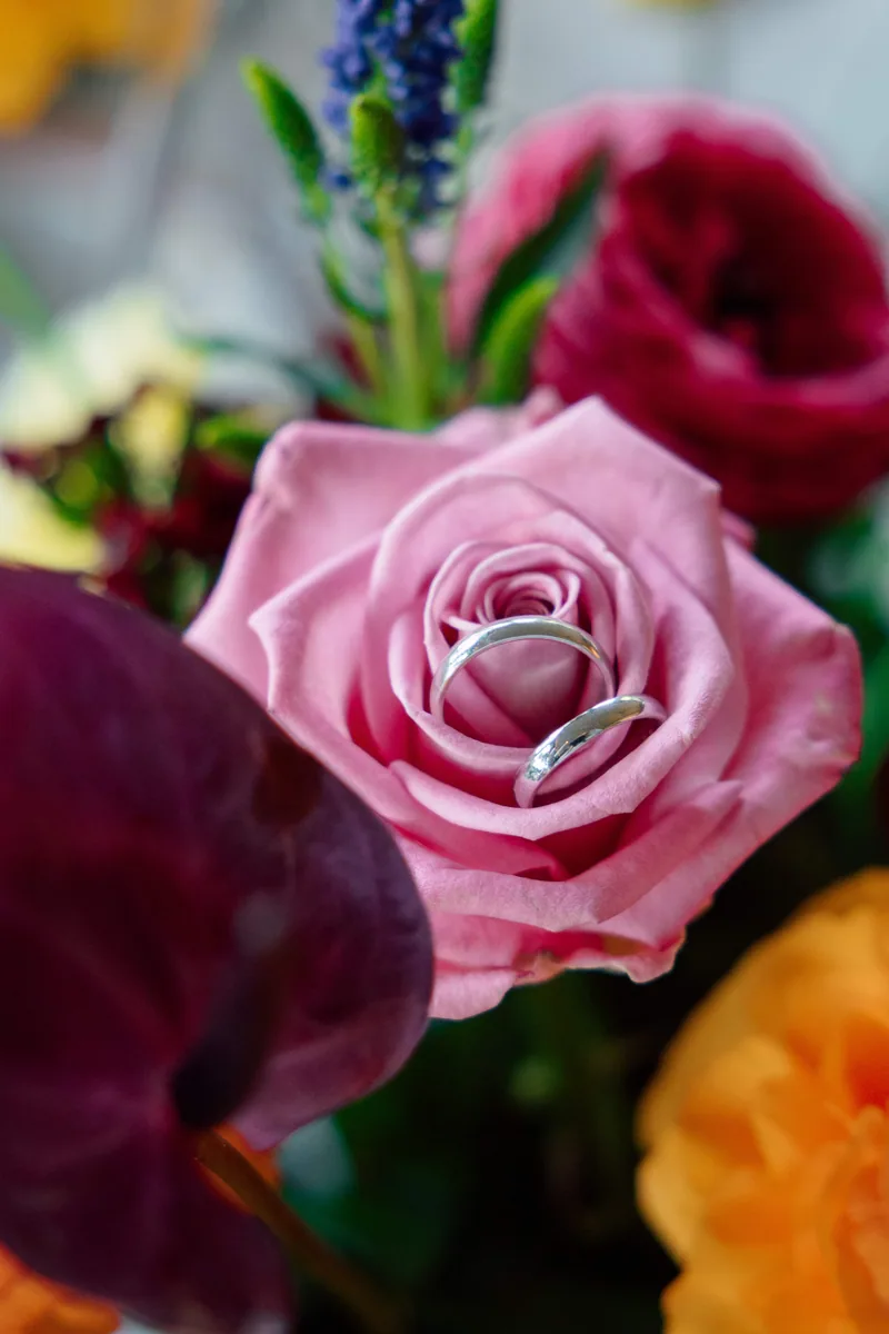 Two silver wedding rings nestled inside a pink rose among colorful garden flowers